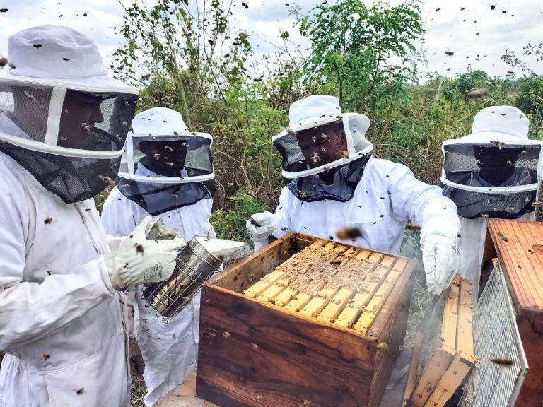 gala-macs-macadamia-producers6