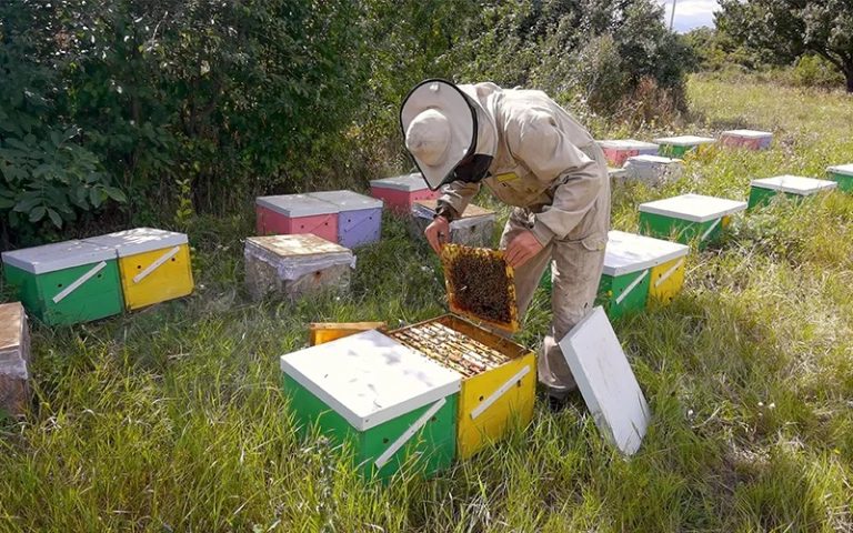 honey_making